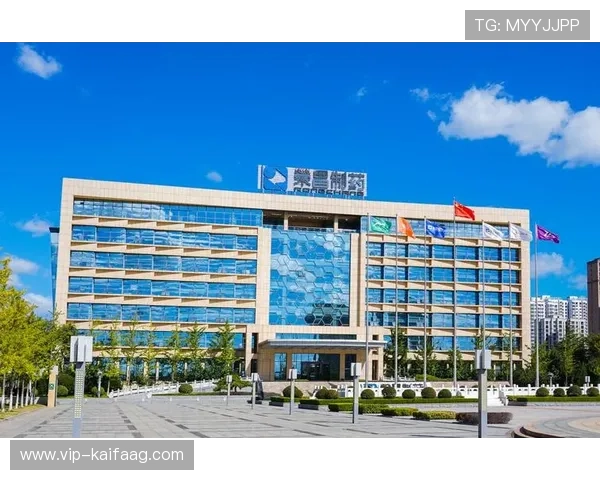 打造天生赢家人生：k8凯发一触即发策略助你实现人生突破